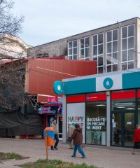 „Plante, Soare, Peşti”, mozaic pe fațada laterală a blocului A2